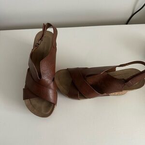 Size 8.5 Pierre Dumas Wedges